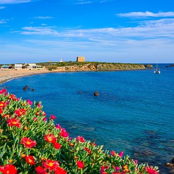 Panoramic view of the island of Tabarca with the Torre de San José in the background