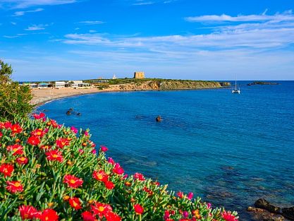 Panoramic view of the island of Tabarca with the Torre de San José in the background