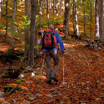 Nordic Walking in the mountain