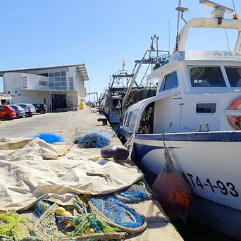 Fish market in Villajoyosa