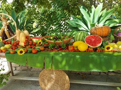 A varied and healthy diet at the Hotel Montiboli