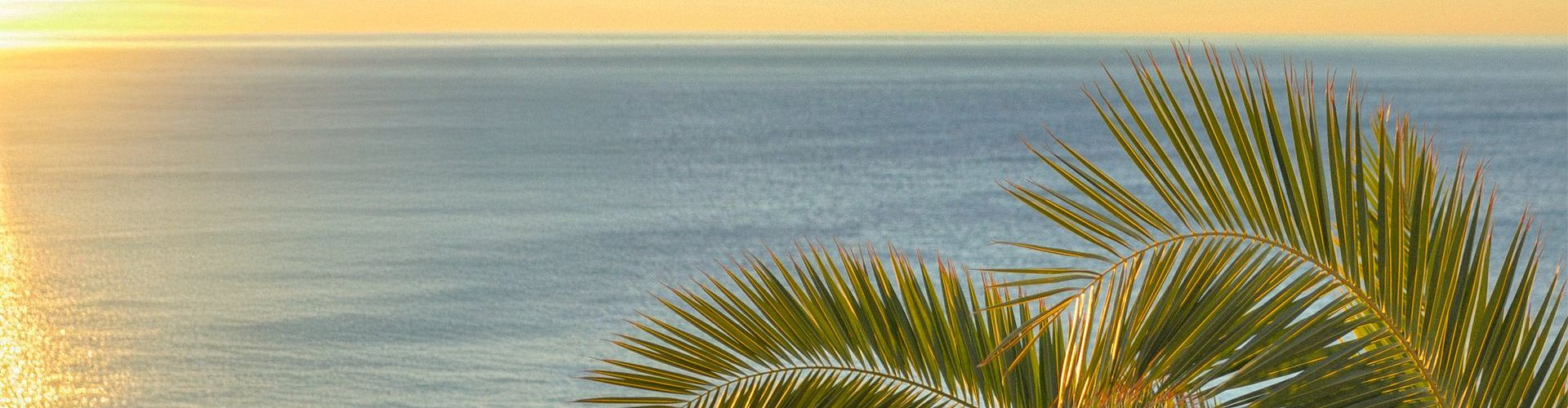 Are you already part of Montíboli Club?