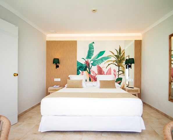 Junior Suite Polaris