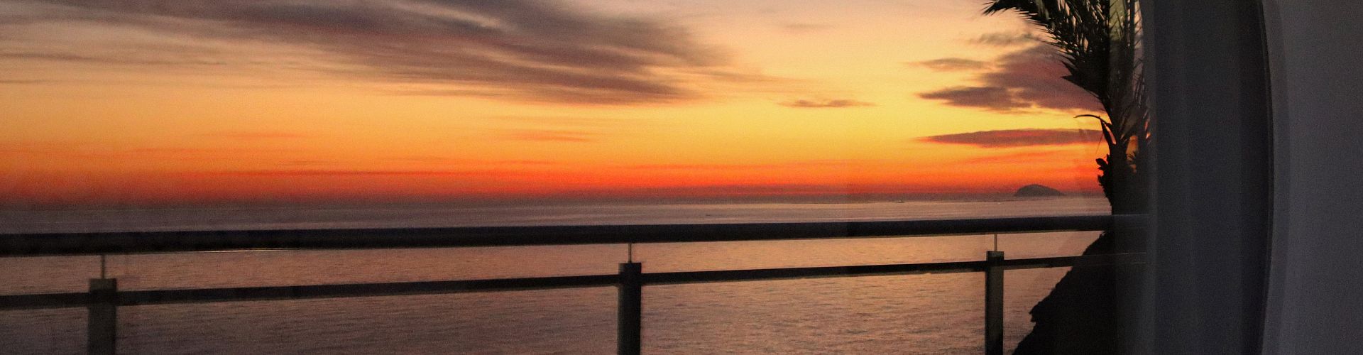 Everything you need to know about this website