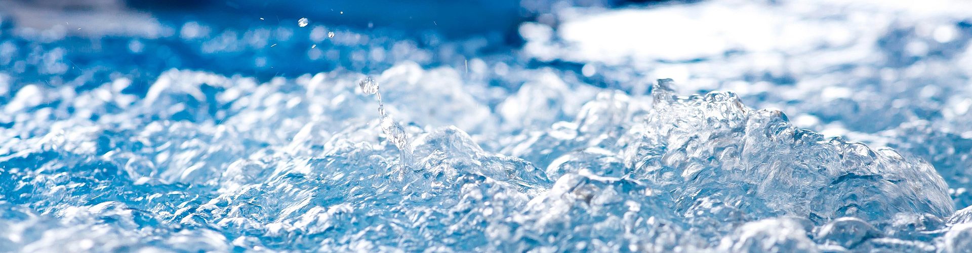 Facial and body treatments based on marine active ingredients