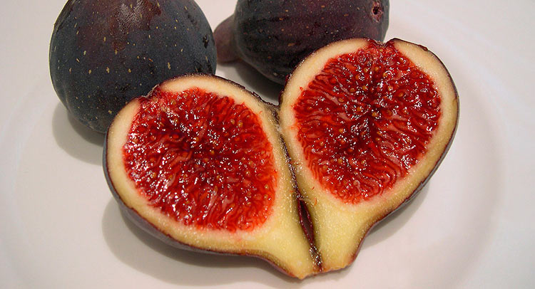 Brevas in the Hotel Montíboli