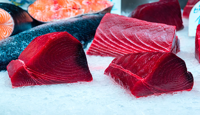 Choosing the best albacore Albacore for the Mintxo