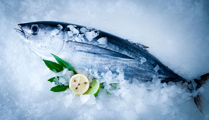 Fresh Bacoreta Albacore Hotel Montíboli