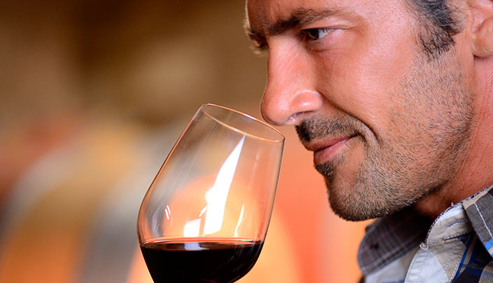 Olfactory phase in wine tasting Tasting wine through olfactory phase