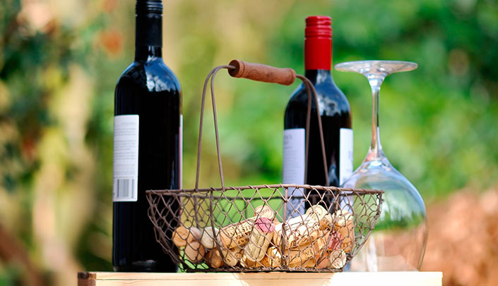 Tasting of red wines Tasting a red wine in daylight