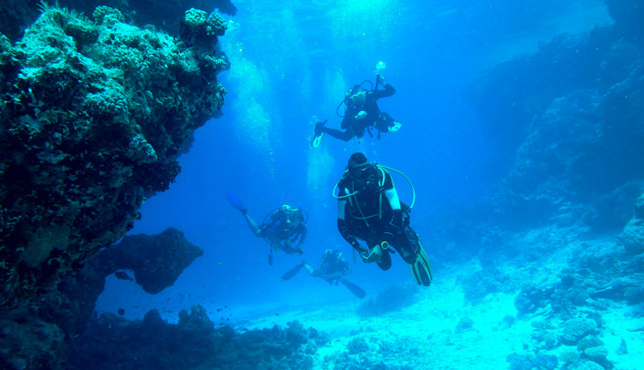 Guided visits of the Bou Ferrer wreck in Villajoyosa