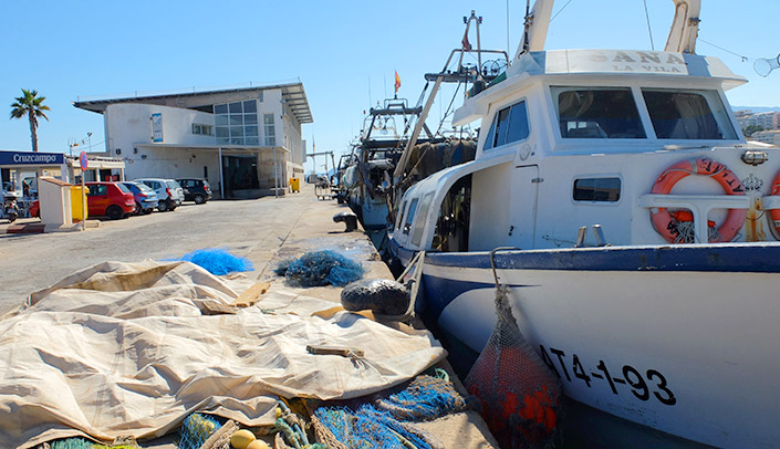 Fish market in Villajoyosa The fish market and its fishing boats