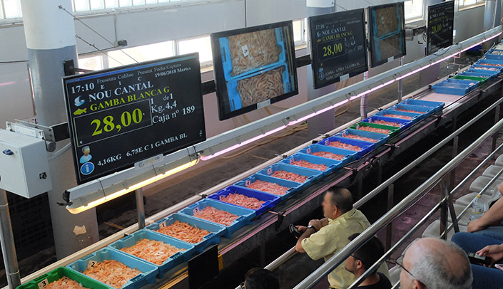 Auction in Villajoyosa Lonja in Villajoyosa during the Dutch auction