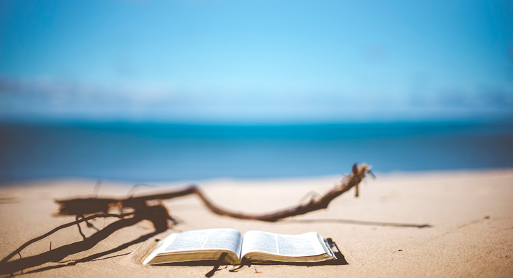 Books to read in summer