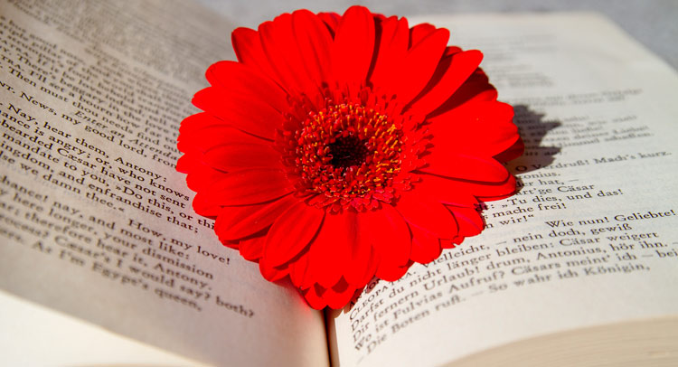 Reading books for Summer 2018